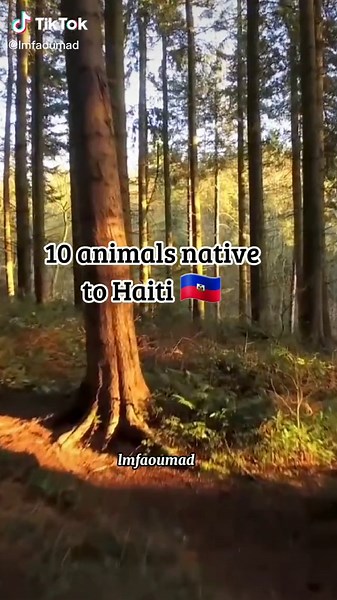 10 Animaux Uniques Originaires d'Haïti