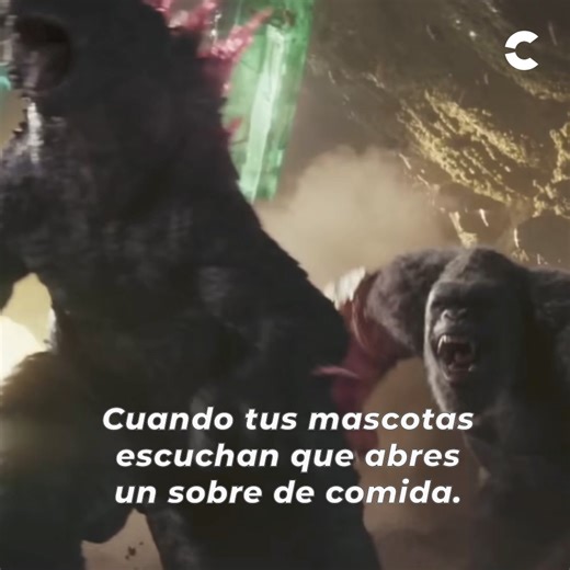 Si Godzilla y Kong fueran tus mascotas ¿cuál sería tu favorita? 🦍💥🦖 Compra tus boletos para #GodzillaYKong aquí 👉 https://bit.ly/3TeM71I | Cinépolis