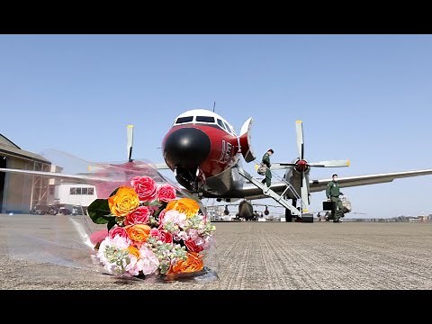 YS11がラスト飛行