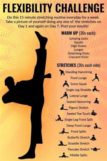 FLEXIBILITY STRETCH FOR BEGINNERS | 21 Day Challenge (Daily Routine for the Inflexible)