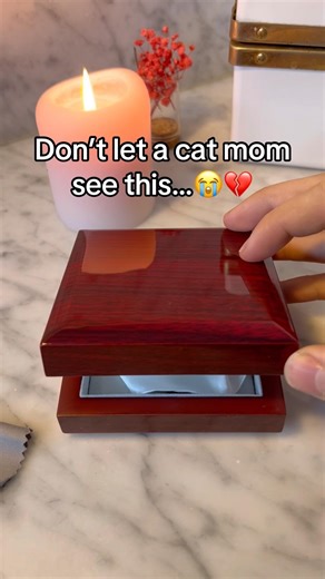 Cat and kitten owners what do we think 😩🐈🐾 #catowner #catmom #catloss #petloss #memories