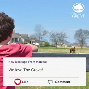 16 reactions | We've worked hard to make this trying time more comfortable for our residents; we're so touched to hear how much it has meant to you. Thank you to our wonderful residents of The Grove! | The Grove Living | Facebook