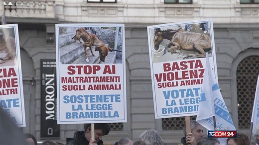Entra oggi in vigore la legge Brambilla contro il maltrattamento degli animali