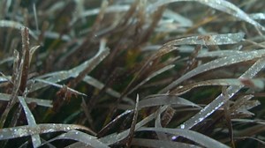 XUKER Water Gloves, 3mm & 5mm Neoprene Five Finger Warm Wetsuit Winter Gloves for Scuba Diving Snorkeling Surfing