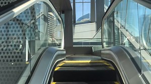 Get a fantastic view of downtown Dallas when you ride our epic escalator on your way to explore five floors of interactive nature and science! | Perot Museum