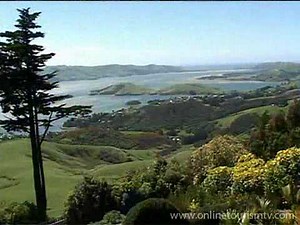 Monarch Wildlife Cruises and Tours