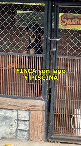 Finca Campestre en Andalucía Valle ✅ Área: 7000 m2 ✅ Área construida: 2400 m2 ✅ Pesebrera-Piscina ✅ Casa habitable - Área recreativa 💰Valor de la finca: $ 5.000.000.000 ☎ WhatsApp ‪‪ 57 3233674262 | Roberson Olaya