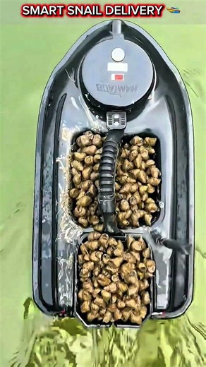 Mini RC Boat Delivering Snails to the Lake – Smart Aquaculture Innovation.