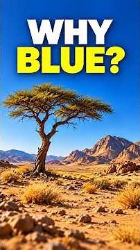 Why Is the Sky Blue?