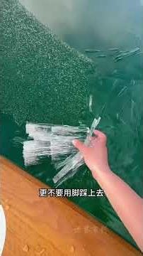It's getting colder! Is it dangerous to play with these ice things? #ice #iceforms #science #lear...