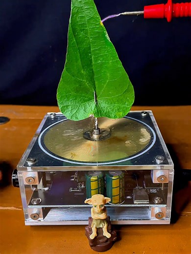 Exploring Rotating Lightning in Tesla Coil Experiments