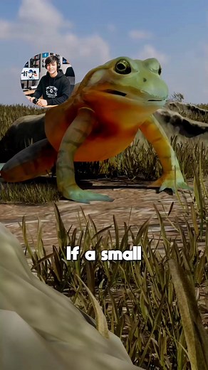 16K views · 75 reactions | When a Frog Meets a Tarantula (3D Animation in Hindi) #fbreelsfypシ゚viralシ #reelsviralシ #reelsviralシfb #videoviralシ #reelsfbシ #reelsfypシ #reelsfacebook #reelschallenge #foryoupageシ #foryouシ #reelsvideoシ #3d #animation #trend | Funny factory | Facebook