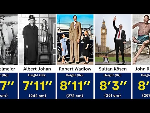 Tallest People in the World - Height Comparison