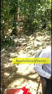 675K views · 5.7K reactions | Goans are being stopped from doing business but migrants have full freedom tondo illegalities. illegal migrant #votebank of Cabral #GhatyanchoSarkar Location: Curchorem | I am Revolutionary Goan | Facebook