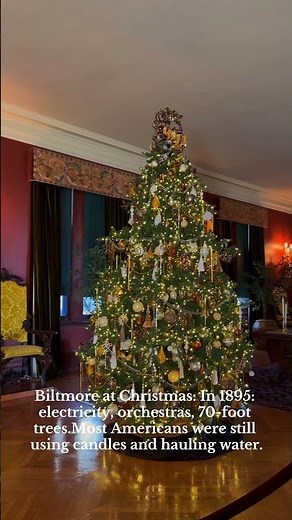 Biltmore Estate in Christmas 🎄 | history| #christmas #xmas #biltmore