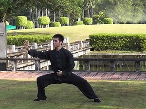 Chen-style Tai Chi - Hua Ying Wushu & Tai Chi Academy