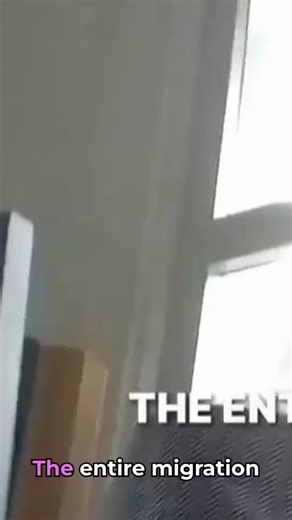 🎬 Hidden Camera Caught Him in the Act