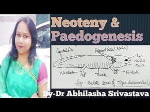 Neoteny & Paedogenesis - definition, difference & types‪@DrAbhilashaSrivastava‬