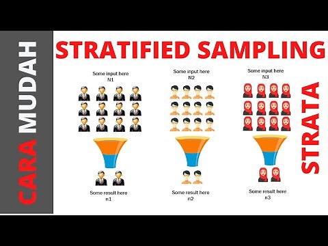 Stratified Sampling | Mudah Memahami Stratified (Strata) Sampling✅