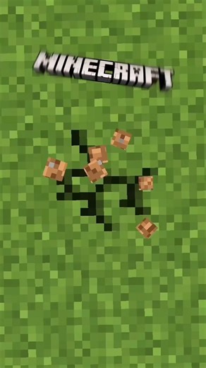 🔥 Minecraft, But Every SUBSCRIBE I Turn Into a RANDOM MOB! 😱