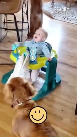 55K views · 924 reactions | Dogs and Babies are Best Friends! | Peachy | Facebook