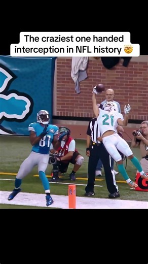 The craziest one handed interception in NFL history