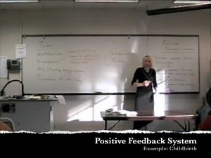 Negative and Positive Feedback System