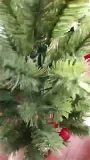 Bring holiday warmth to every corner 🎄 Our mini LED Christmas tree adds a cozy glow to homes, cafés, and shop displays — compact, stylish, and ready to brighten your space. OEM/ODM available. DM “TREE” for catalog & EXW pricing. #MiniChristmasTree #HolidayDecor #HomeLighting #FestiveVibes #IndoorDecor #LEDTree #OEMODM #FactoryDirect #B2BLighting #ChristmasVibes #ChangxinLighting | Chang Xin Lighting-Season Decor