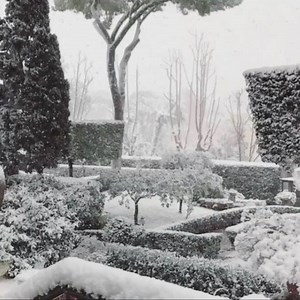 35K views · 2.1K reactions | Our first snowfall in Rome! ❄️ It's been six years since the city last had snow. | Newt Gingrich | Facebook
