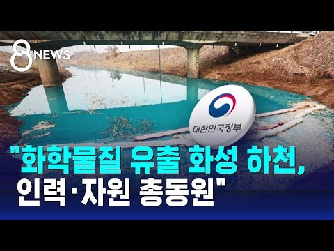 정부 "화학물질 유출 화성 하천, 수습 총력" / SBS 8뉴스