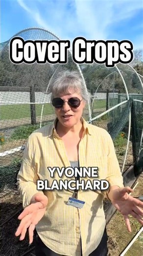 Cover Crops at McClellan Ranch