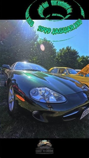 THE CAT IS OUT! 🐆 1999 Jaguar XK8 Spotlight