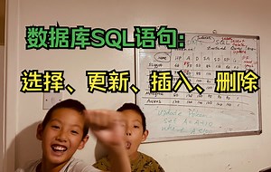 第518天 教娃编程 - 数据库SQL语句: 选择、更新、插入、删除