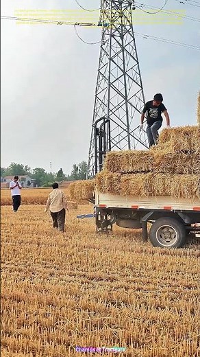Le monte - chargeur de bottes de paille en action : Comment cette machine simplifie la récolte ?