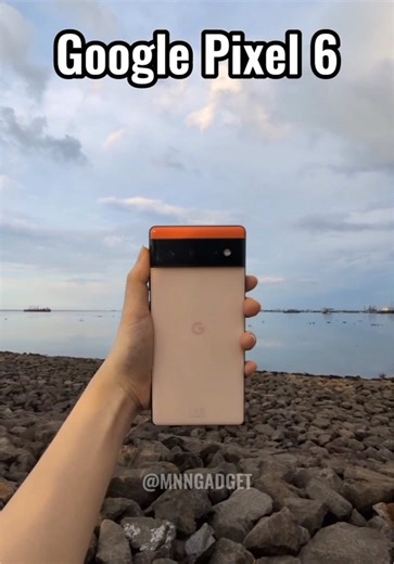 Google Pixel 6 Camera Review: GoPix Mini Tested