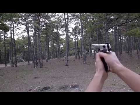 Walther CP88 Competition 6'' Co2 Airgun Shooting