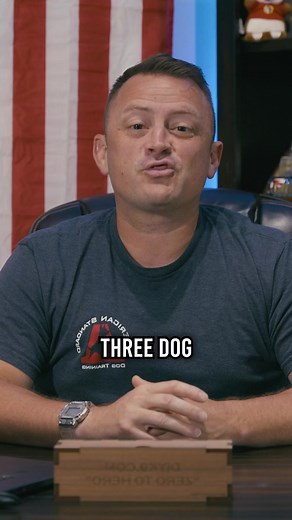 647K views · 19K reactions | Top 3 Breeds I WOULD Own as a Dog Trainer #dogs #belgianmalinois #germanshepherd #gsd #canecorso #canecorsoitaliano #puppy #doglover #dog #fyp | American Standard Dog Training | Facebook