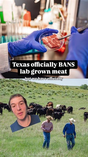 We officially have entered farmers vs. biotech companies… Texas became the 7th state to ban lab grown meat, enacting a 2 year moratorium until September 2027. Immediately following the law, two biotech companies: UPSIDE Foods (cultivated chicken) and Wildtype (cultivated salmon) filed lawsuits. Their case: since the USDA and FDA have already approved as safe for human consumption, states cannot