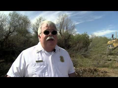 Salt Cedar dangers and removal