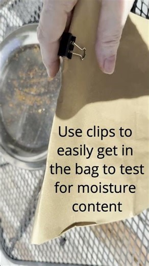 How Dry Should Chaga Be? Check Out This Simple Way to Dry Chaga!