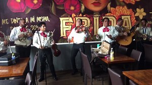 40K views · 779 reactions | En el ensayo para una gran noche. Hoy en Frida dueto de canciones. De Juan Gabriel y roció Dúrcal !!!! Viernes y sábado !!!! Reserva ya!!!! 9931016304 | Frida Villahermosa | Facebook