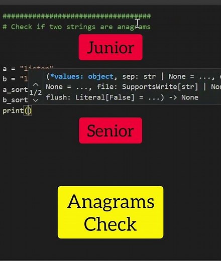 Junior vs Senior Coding Skills Revealed!