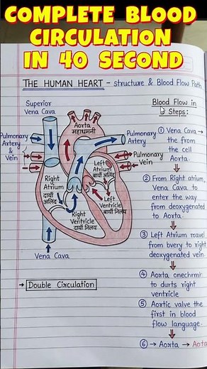 Class 10 ICSE Biology Complete Syllabus | ICSE Class 10 Biology Board Exam 2026 #icse2026 #biology