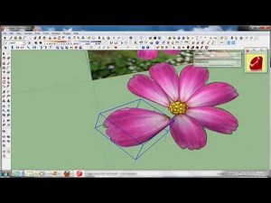 how to make flower by google sketchup