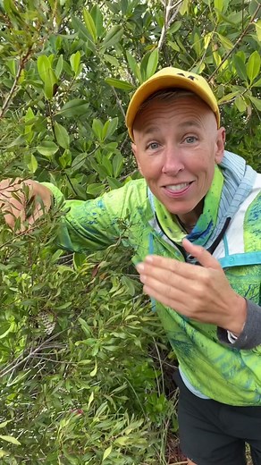 Stung by a Paper Wasp Challenge: Will You Brave It Like Coyote Peterson?