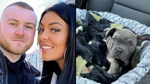 Man whose dog was cremated by kennel he left him in shares list of red flags in the incident