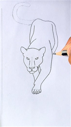 Easy Leopard Drawing 🐆 | Step by Step Tendua kaise banaye #shorts #drawing #leopard #easydrawing