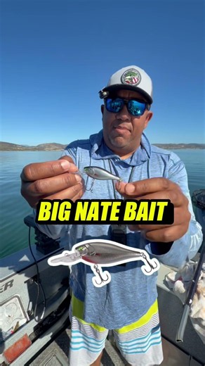How to Catch Eagle Lake Trout: Big Nate Baits Deep Diver Test