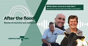 1.1K views |  The effects of a disaster are felt long after the...