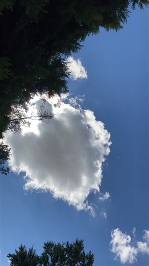 TikTok · Natalie Conti